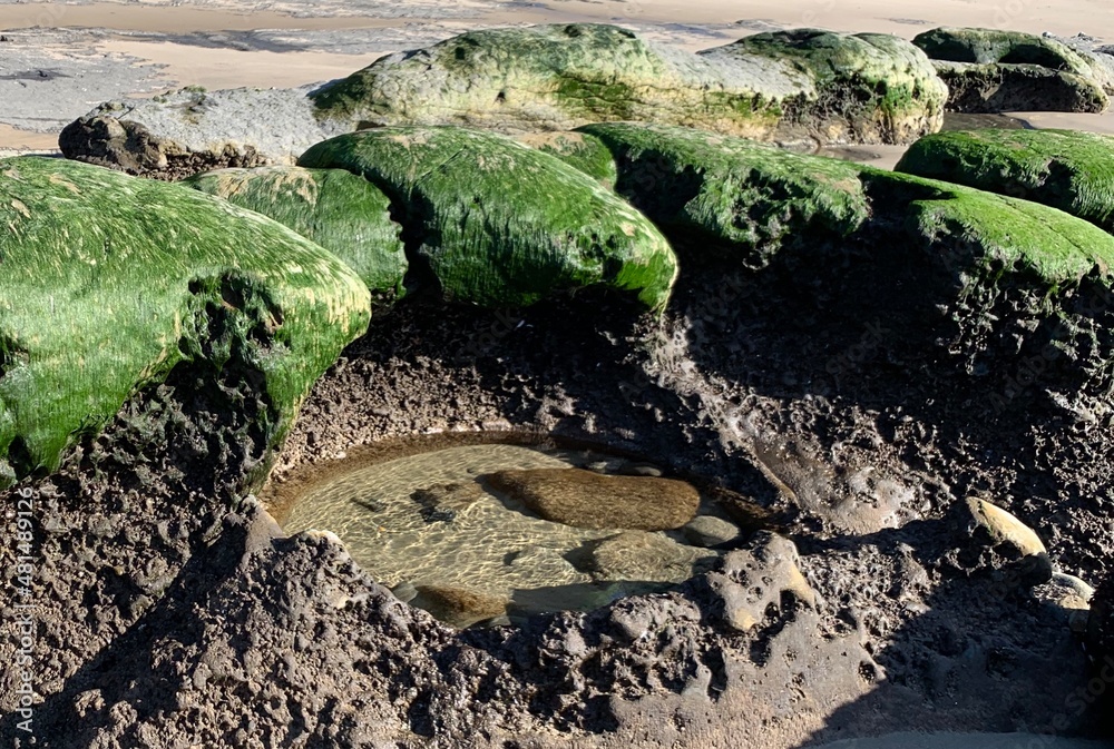 Gleneden State Beach Tide Pools