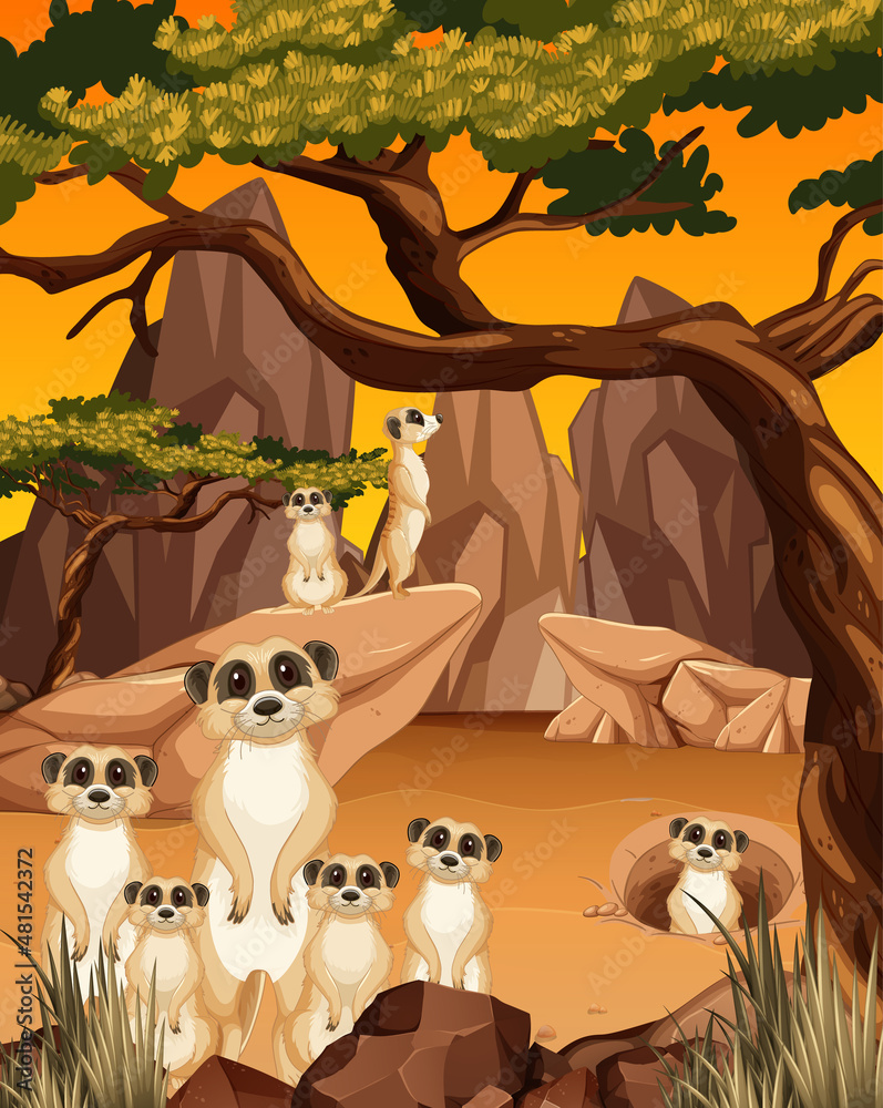 Desert background with a group of meerkats