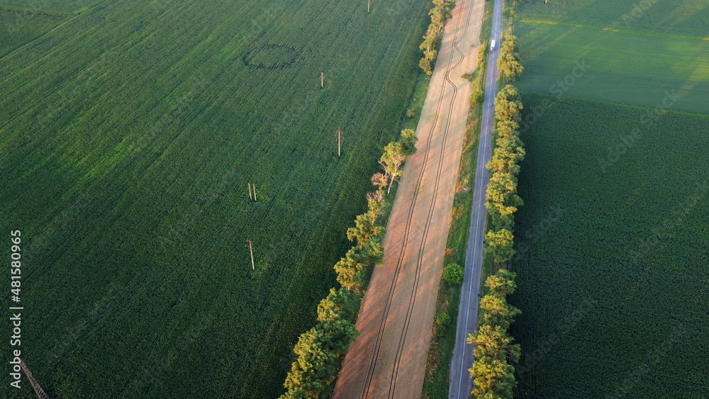 Drone flying over road between green agricultural fields during dawn sunset. Cars driving along road