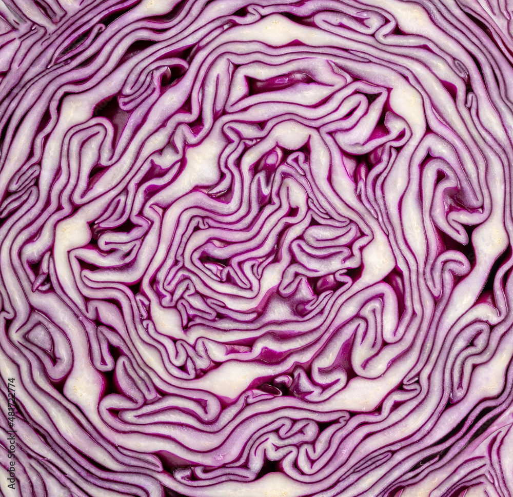 purple cabbage texture