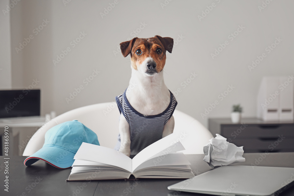 Cute business dog working in office