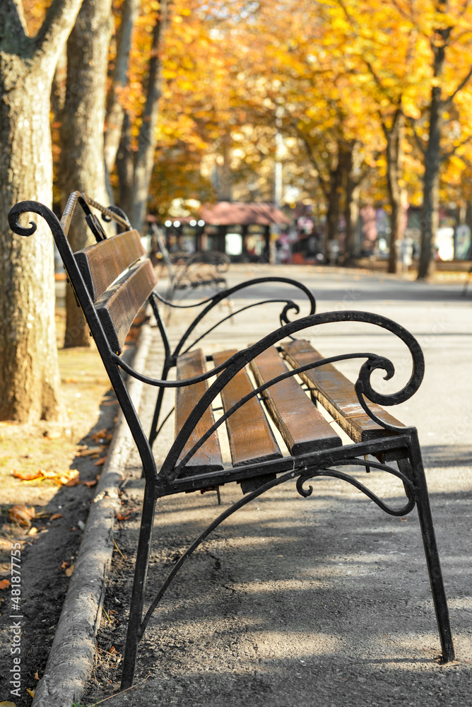 Empty bench on city street