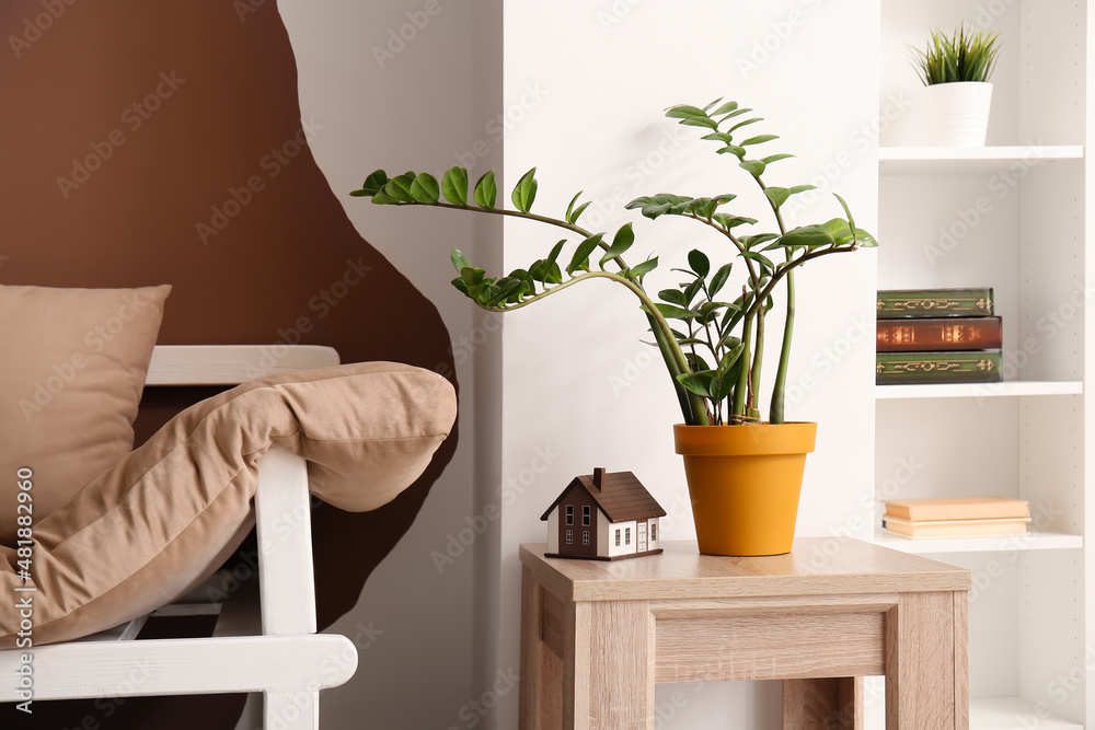 Houseplant on table in living room