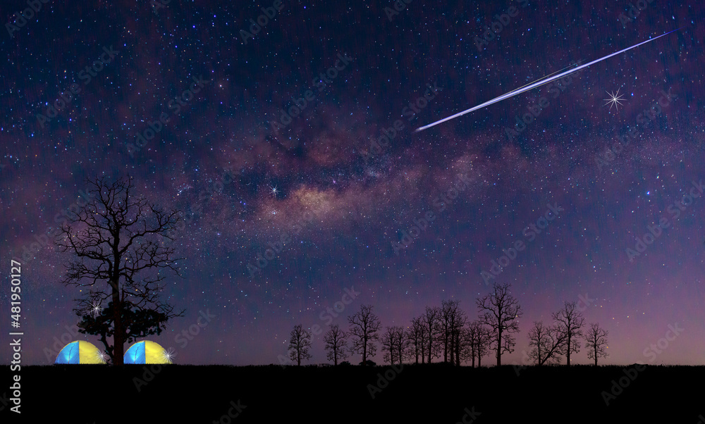 night sky and moon