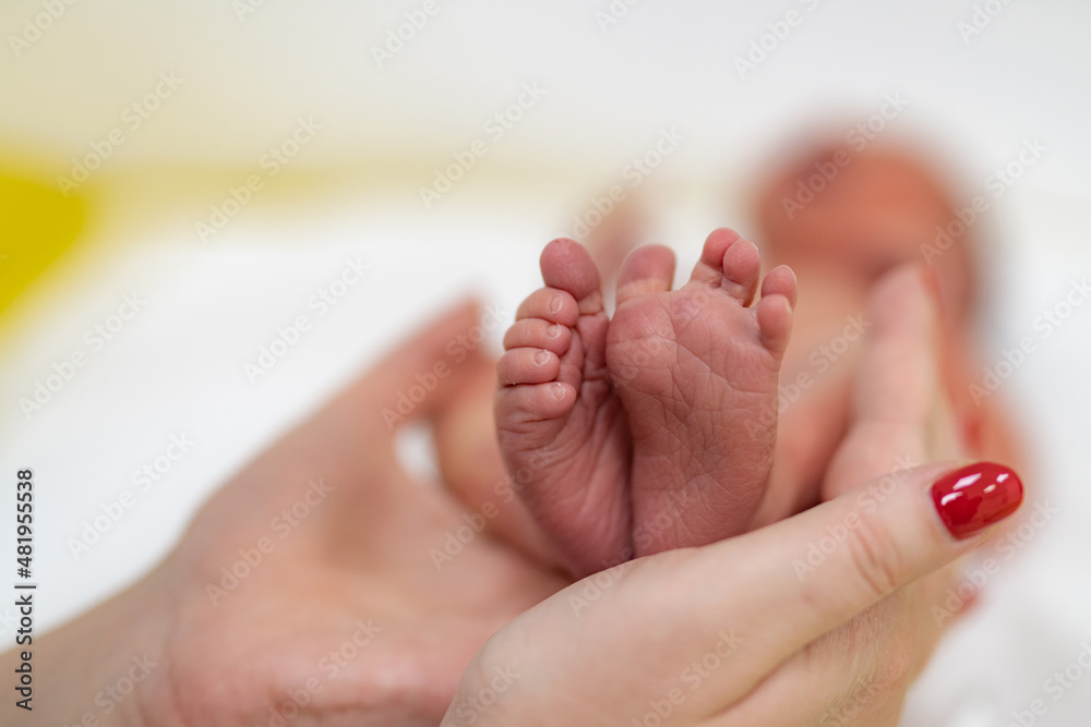 Baby`s feet closeup picture. Mother`s hands holding child`s foot. Little girl`s fingers at front. Ba