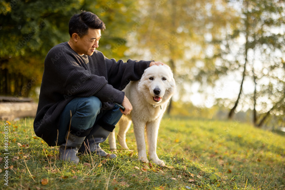 一个快乐的亚洲男人坐着，抚摸着他的Maremmano Abruzzese牧羊犬，看着大自然。