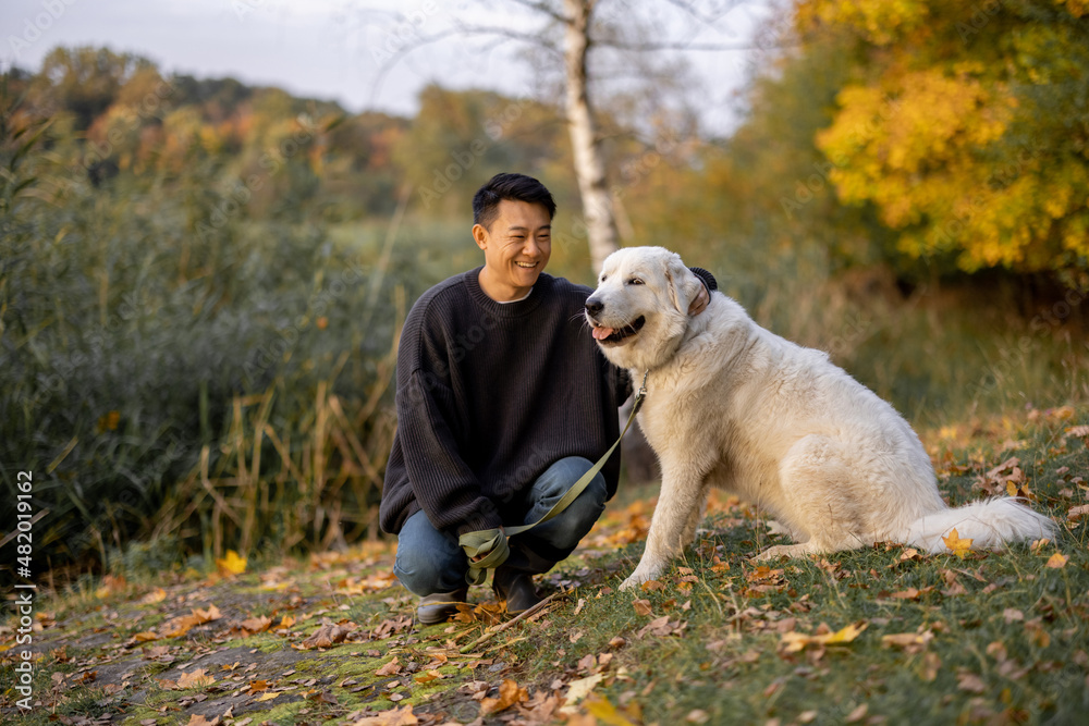 愉快的亚洲男人坐在那里，抚摸着他的Marermano Abruzzese牧羊犬，看着大自然