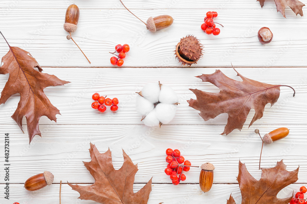 Cotton flowers and beautiful autumn decor on white wooden background