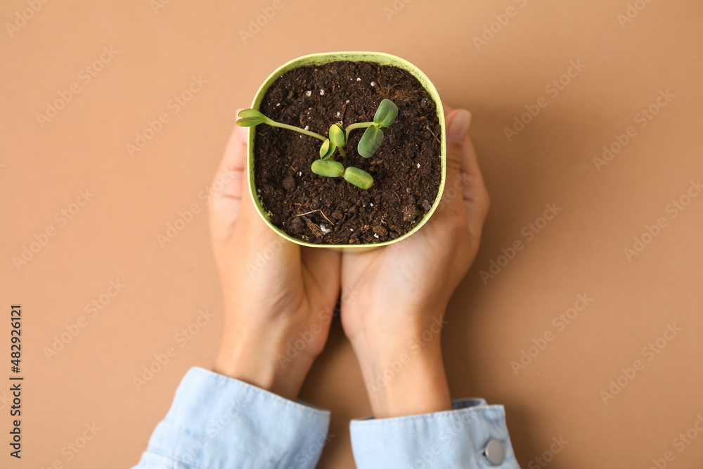 拿着花盆的女人，花盆上有彩色背景的幼苗