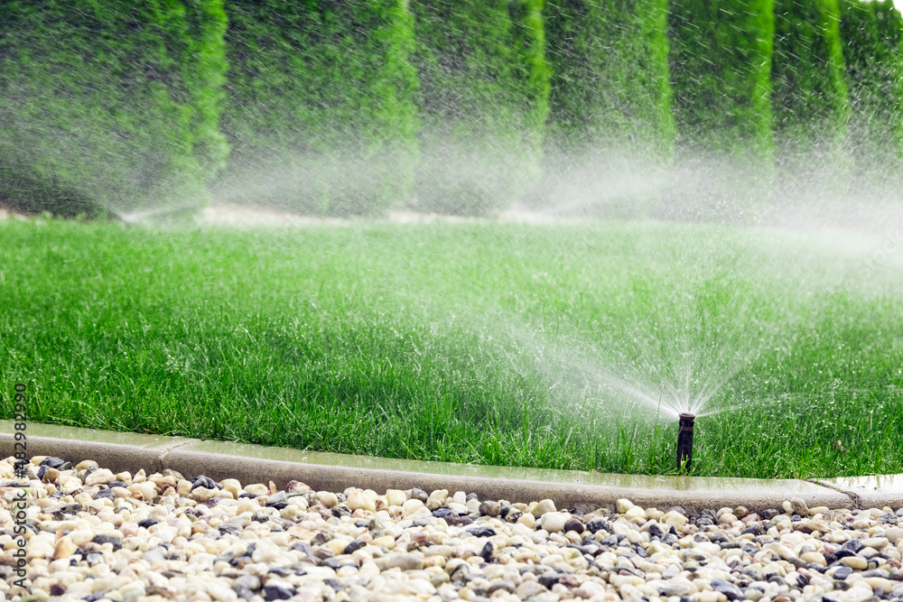 Sprinklers watering grass, green lawn in garden