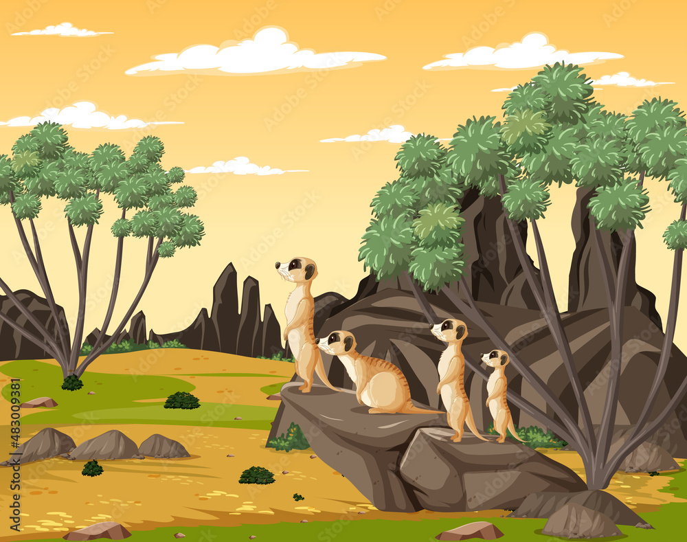 Desert background with a group of meerkats