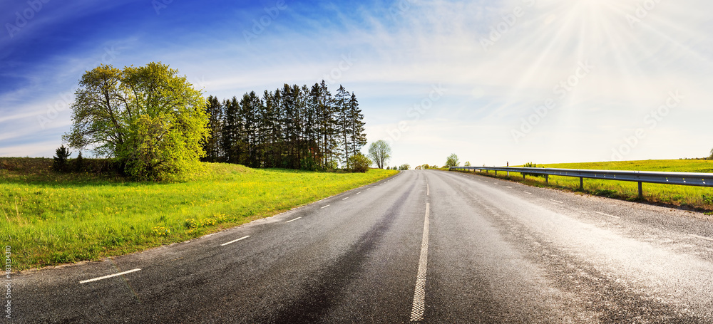 Panoramic view of the asphalt road with beautiful trees and with field of the fresh green grass and 