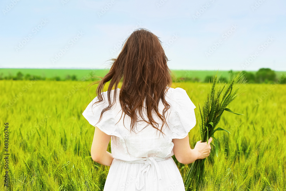 Woman with green wheat spikelets in field on sunny day