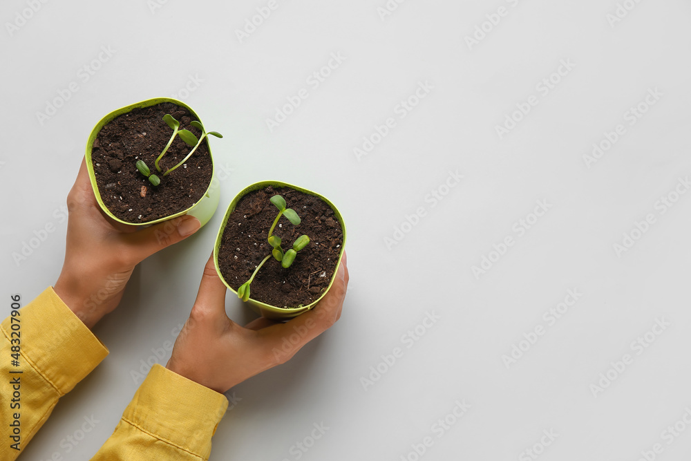 Woman holding flower pots with seedlings on color background