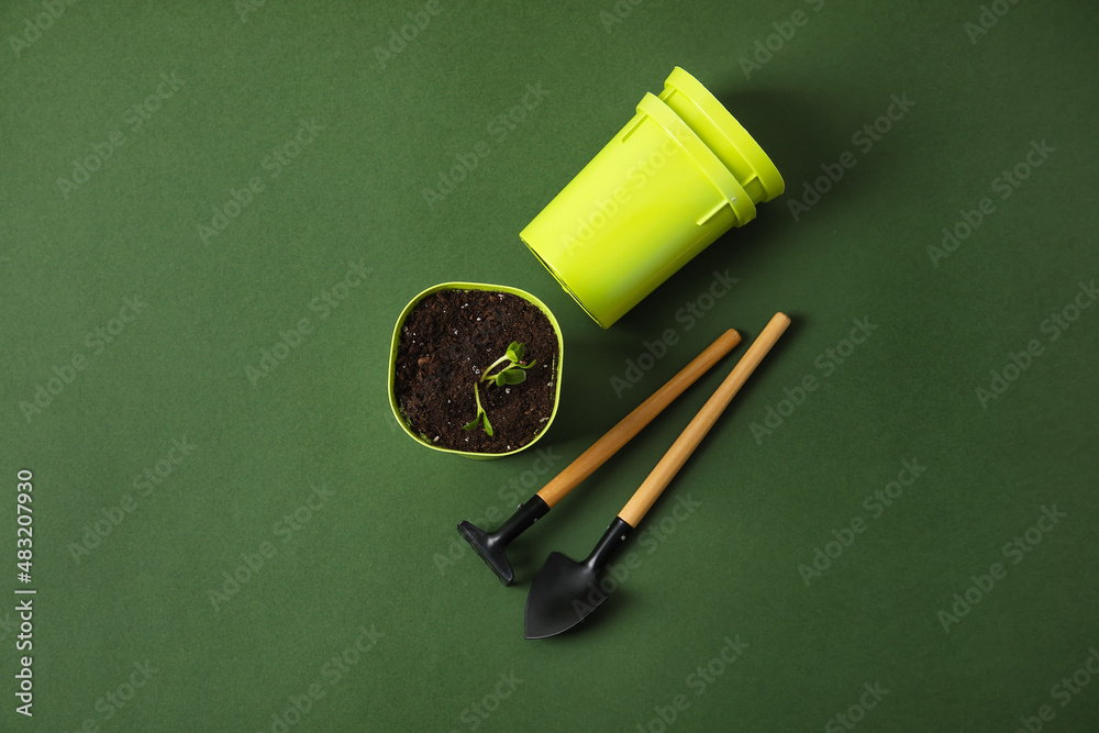 Flower pot with seedlings and gardening tools on green background