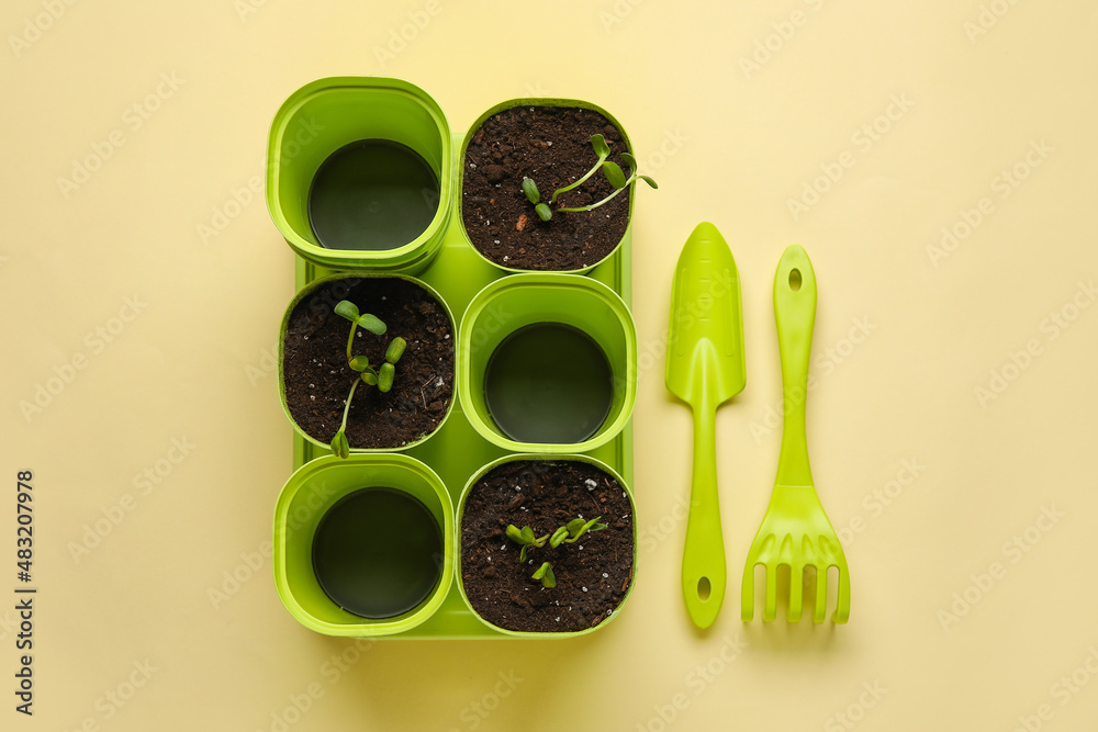 Flower pots with seedlings and gardening tools on color background