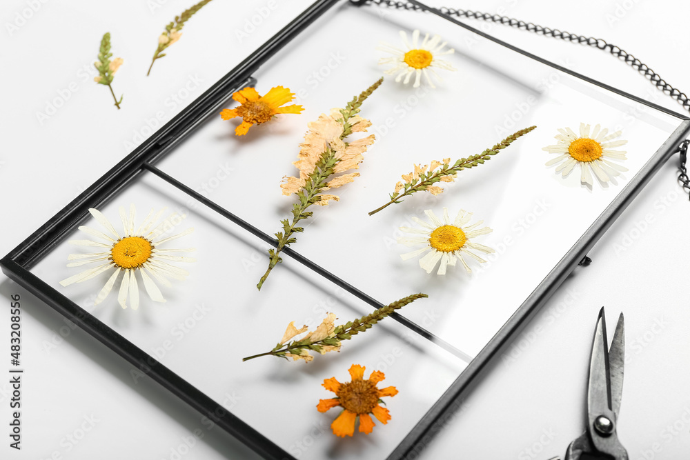 Frame with dried pressed flowers on white background