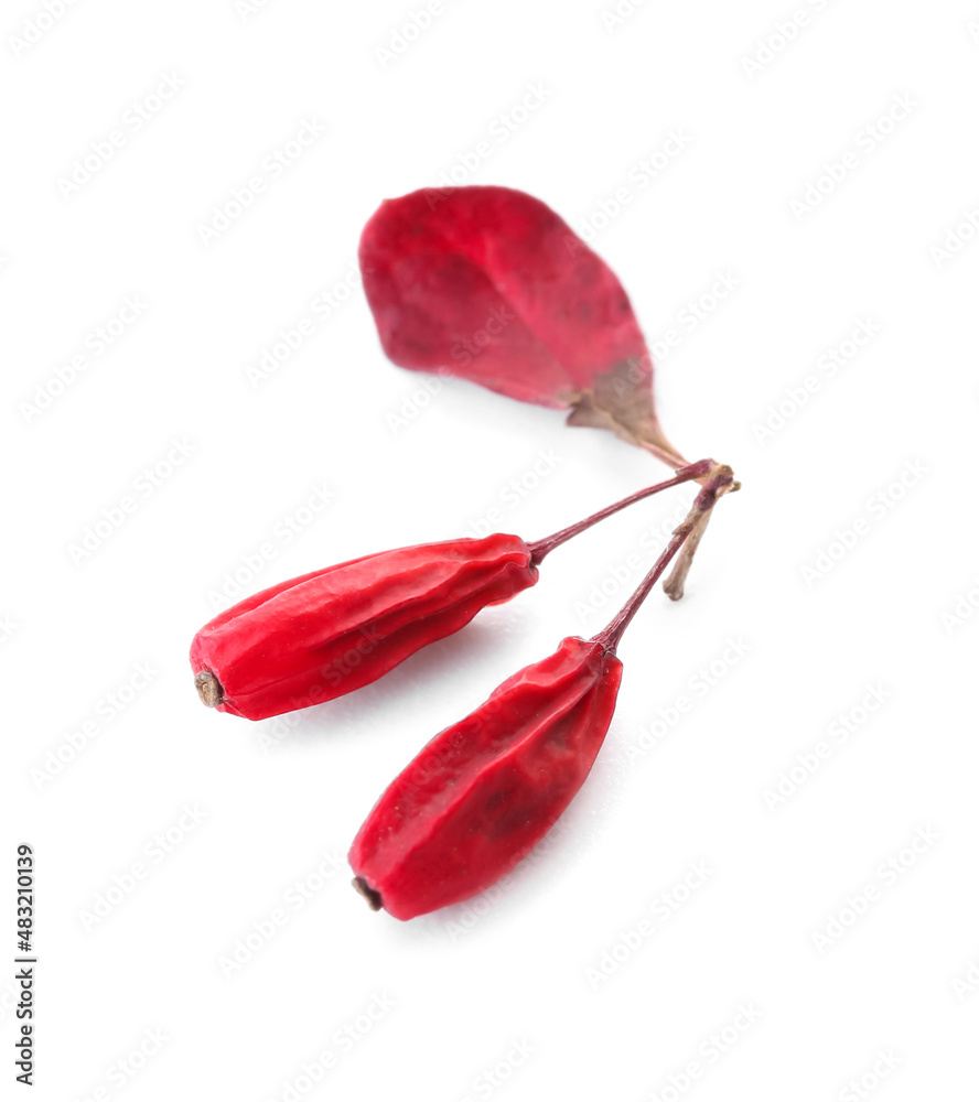 Dried barberries on white background