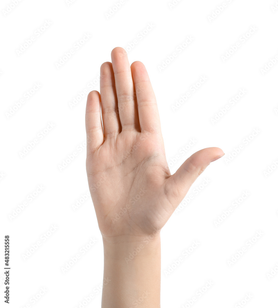 Childs palm on white background