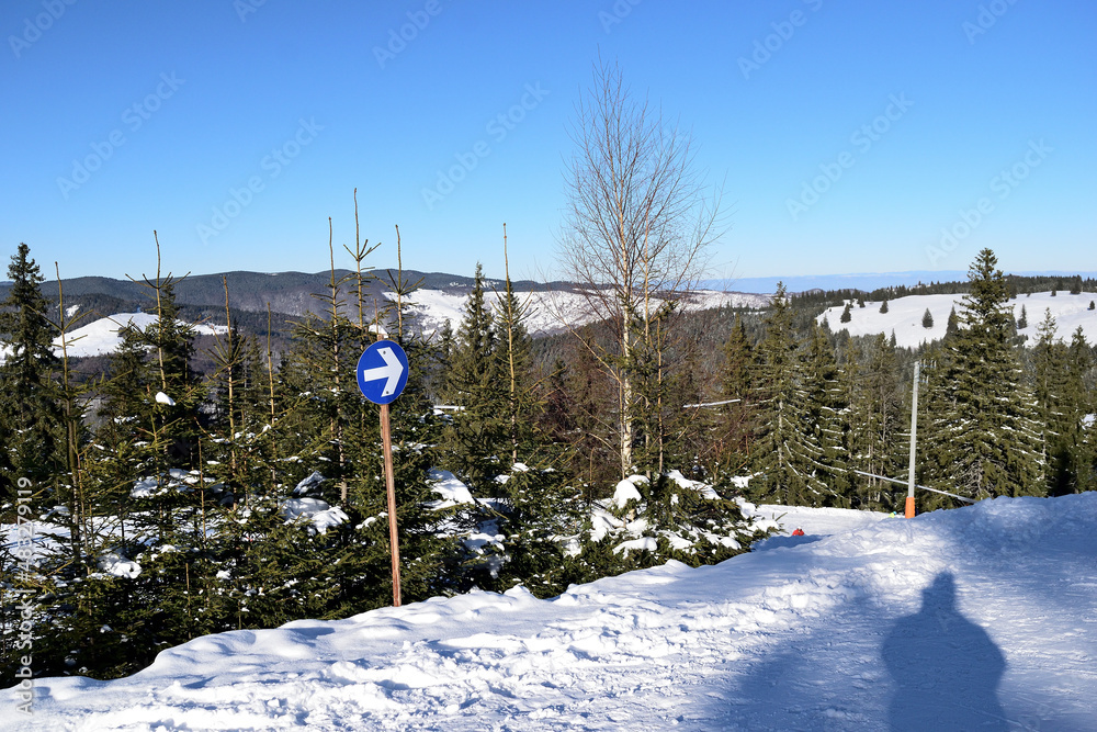 skiing in the mountains