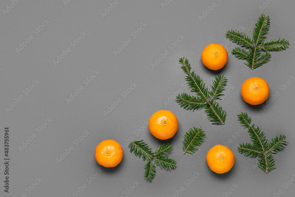 Composition with ripe tangerines and fir branches on dark background