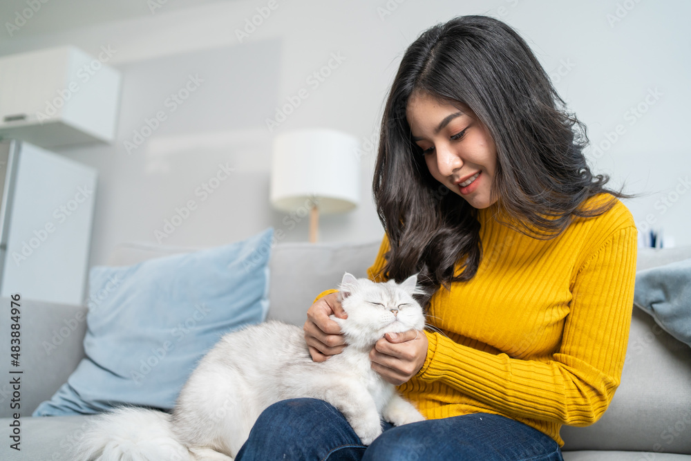 Asian woman holding and play with little cat with happiness at home. 