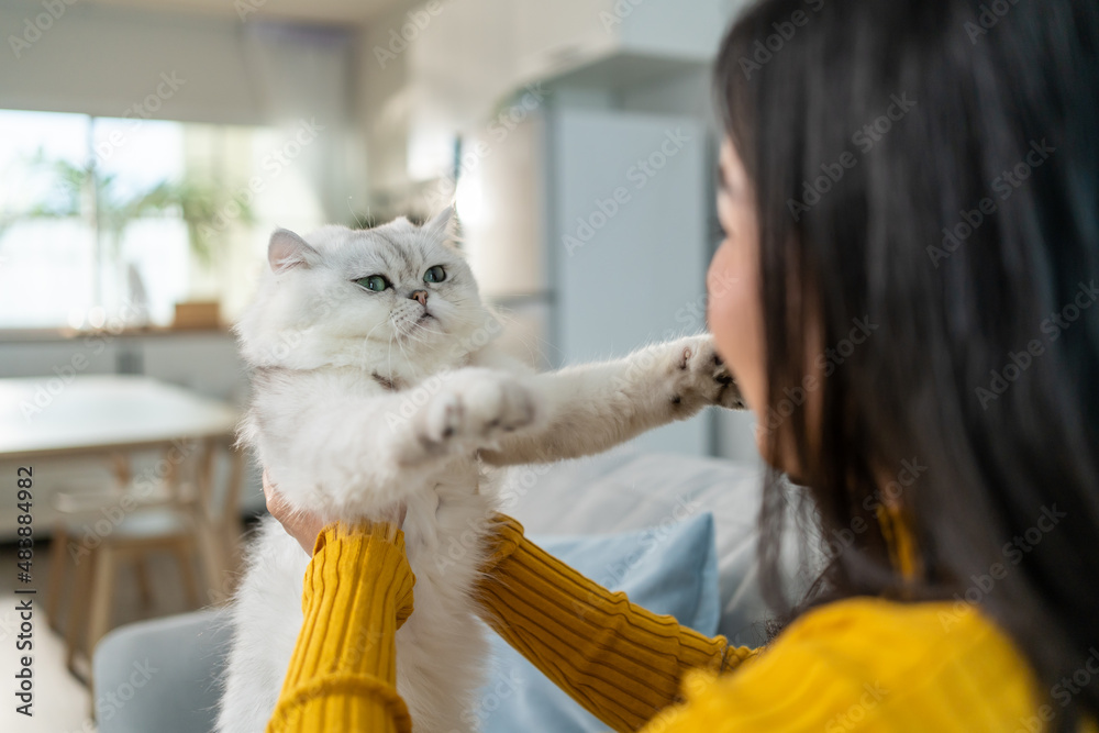 亚洲女人抱着小猫玩，在家里很开心。