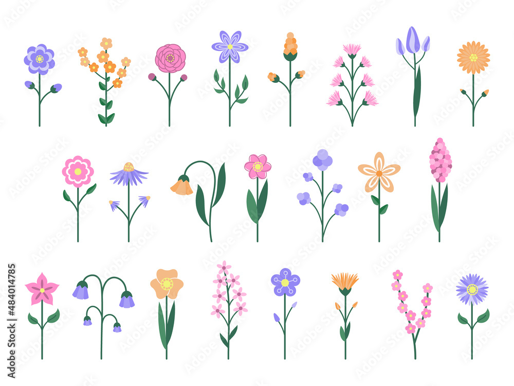 set of cute simple spring flowers. Cartoon style. Vector illustration. Isolated on white.