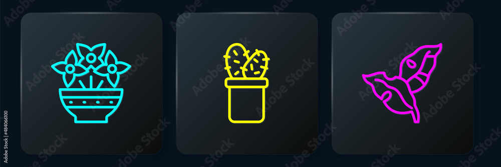 Set line Flower in vase, Tropical leaves and Cactus peyote pot. Black square button. Vector