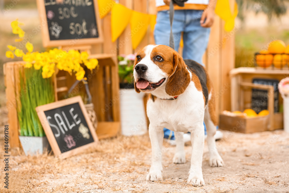 Cute little boy with dog at lemonade stand in park