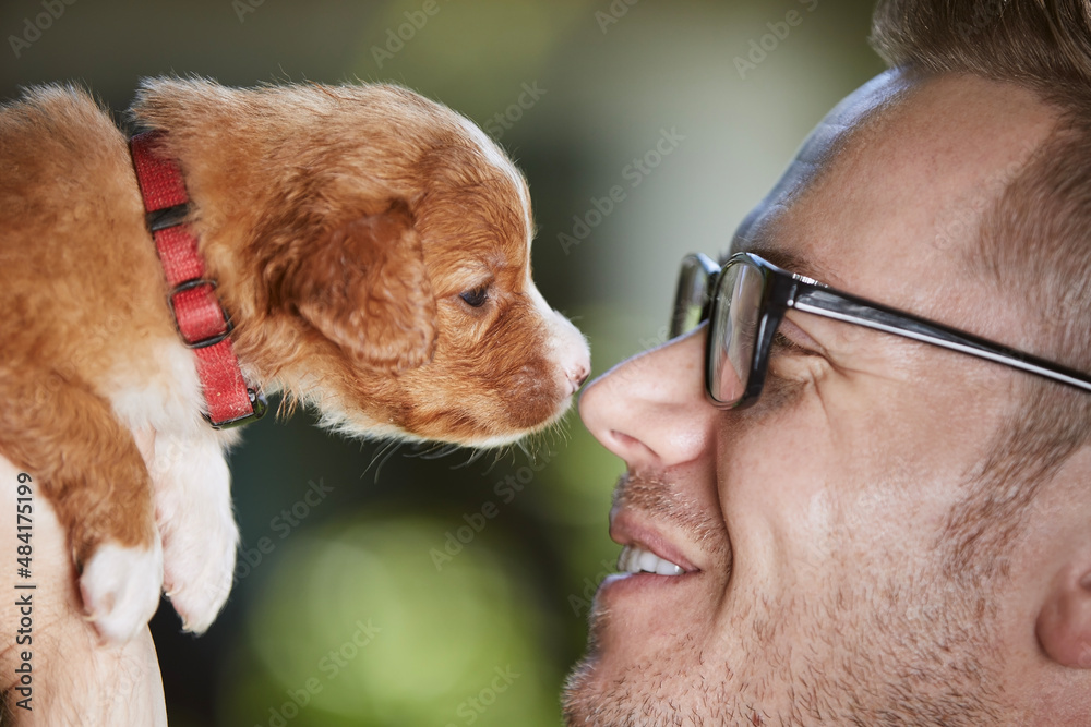 宠物主人抱着一只新狗。快乐的男人带着新斯科舍省鸭子猎犬的小狗。