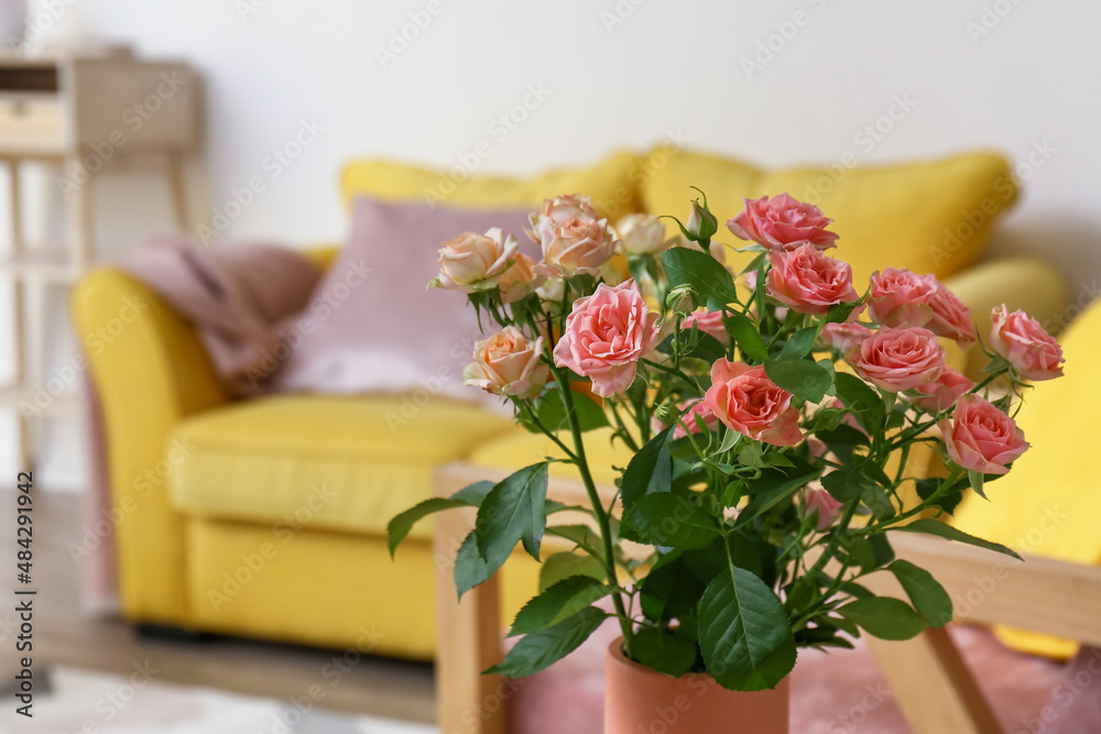 Vase with bouquet of beautiful fresh roses in room, closeup