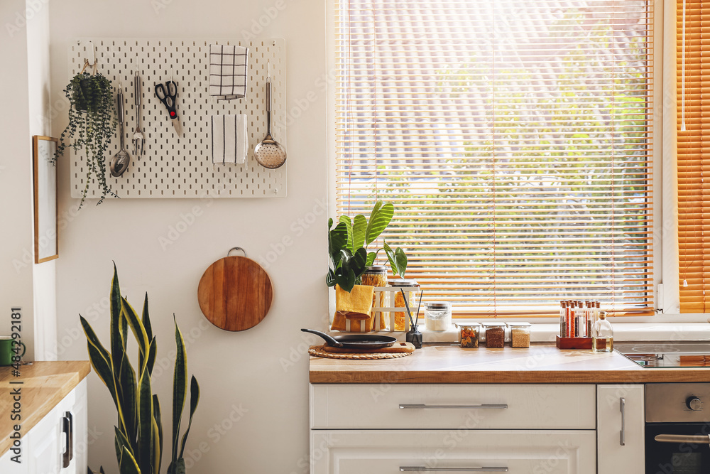 Interior of kitchen with modern furniture and houseplants near window