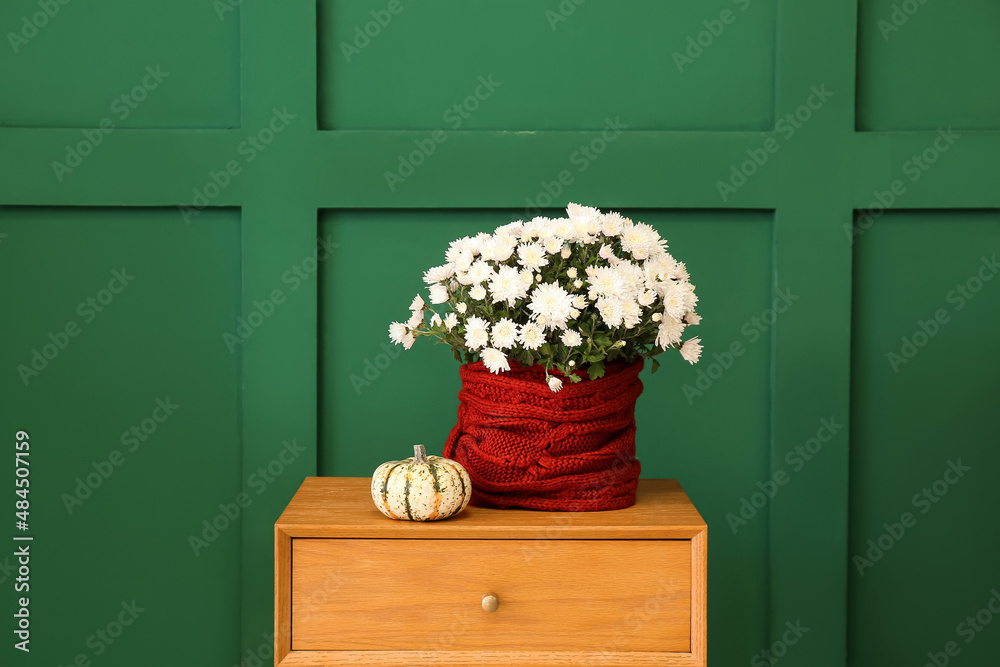 Beautiful white Chrysanthemum flowers and pumpkin on wooden table near color wall