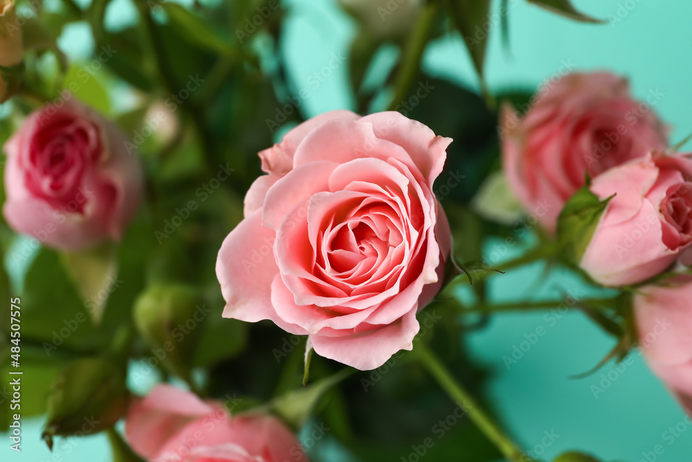 Bouquet of small roses on green background, closeup