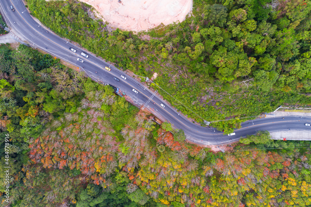 Aerial view of mountain road in forest in autumn season Top view from drone of curve road Colorful l