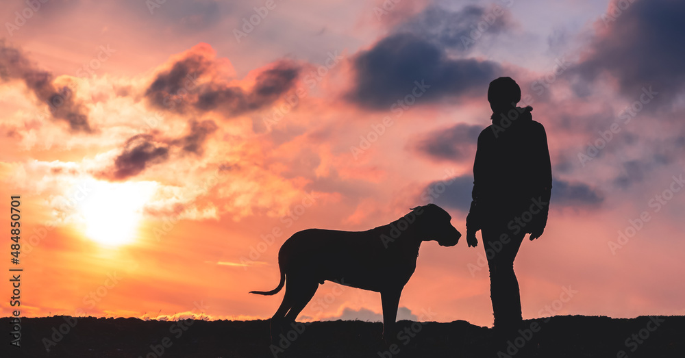 Silhouette of a girl with a big dog at sunset