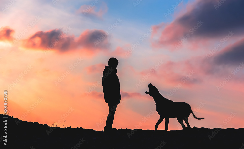 Silhouette of a girl with a big dog at sunset