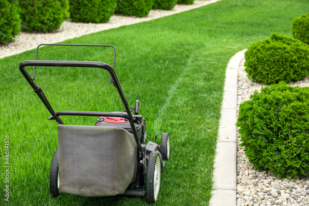 Lawn mower cutting green grass in backyard, mowing lawn