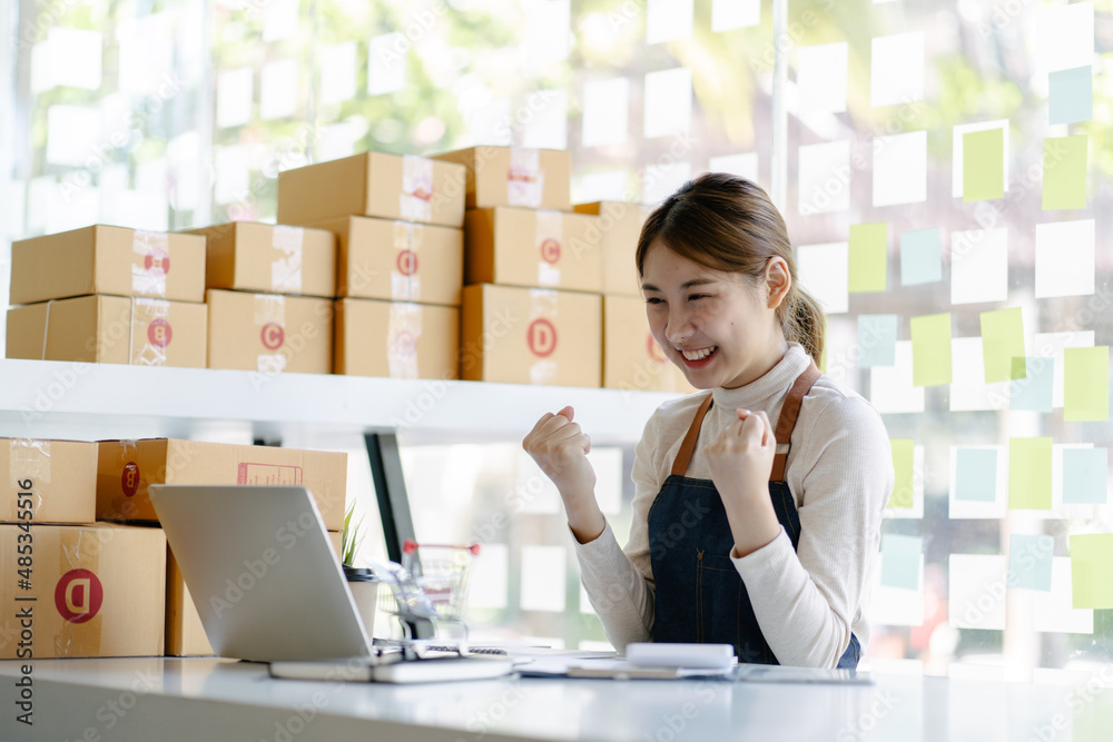 Asian woman enjoy herself while using laptops and internet in office. Business and marketing and par