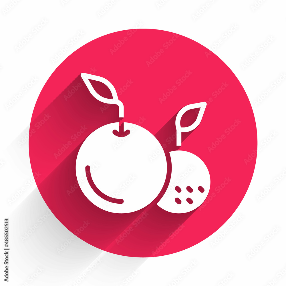 White Fruit icon isolated with long shadow background. Red circle button. Vector