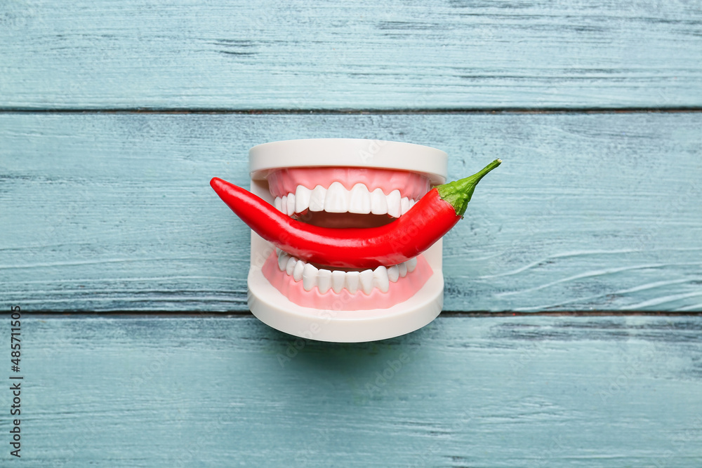 Plastic jaw model with hot chili pepper on blue wooden background