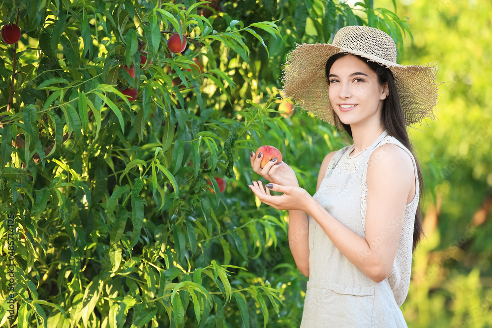 美丽的年轻女子，花园里有蜜桃