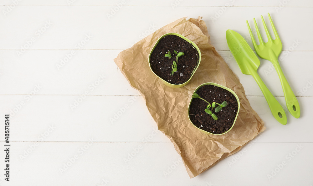 Flower pots and gardening tools on white wooden background