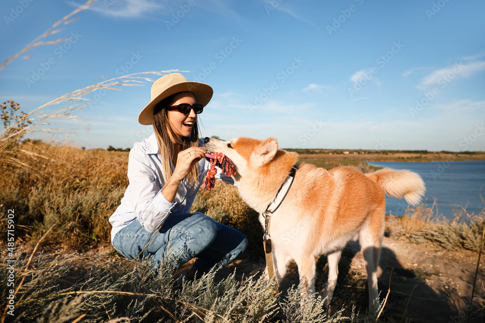 有趣的秋田犬在户外玩玩具和主人