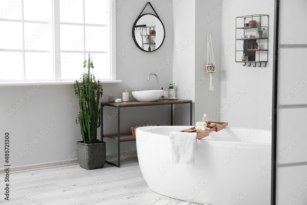 Interior of light bathroom with sink, cactus and bathtub