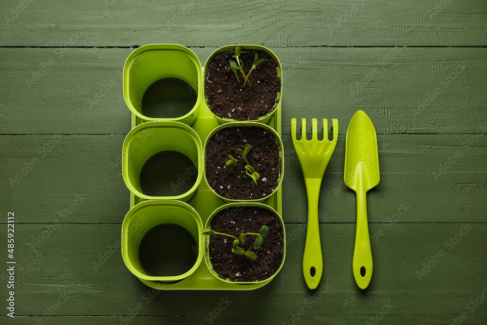 Tray with flower pots and gardening tools on green wooden background