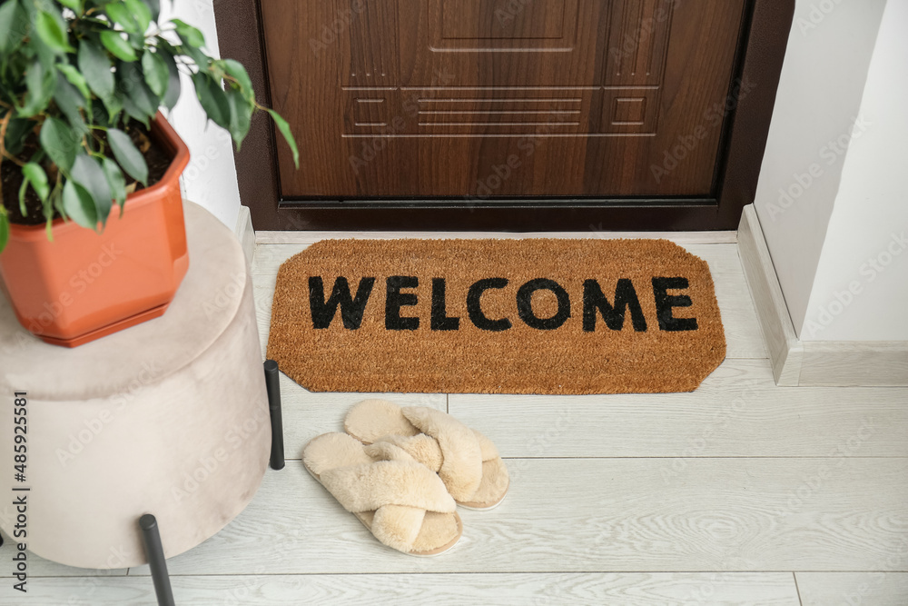 Pouf with houseplant, slippers and mat near dark wooden door