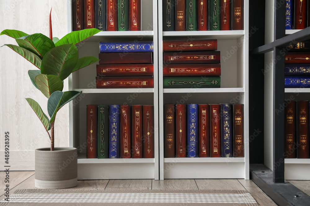 Shelf unit with books in home library