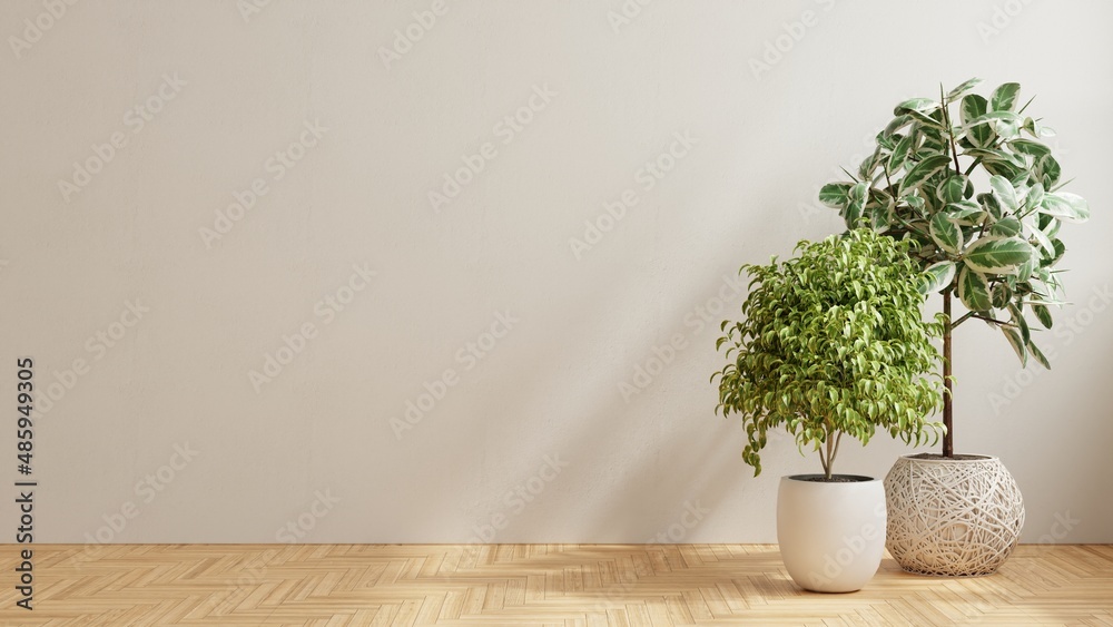 Empty room with wooden floor and plant.